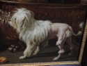 Might be a poodle in the painting